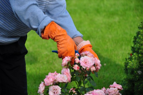 Essential garden tools for maintenance